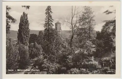 (85761) Foto AK Jena, Botanischer Garten mit Stadtkirche St. Michael 1955