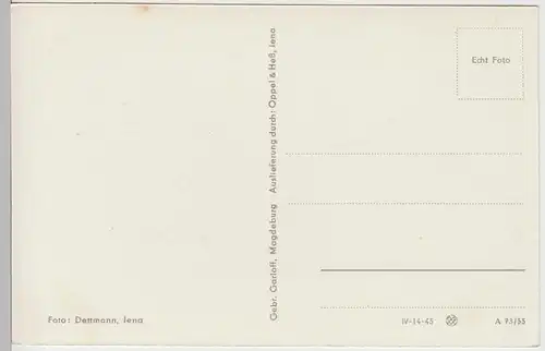 (85761) Foto AK Jena, Botanischer Garten mit Stadtkirche St. Michael 1955