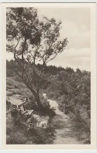 (85512) Foto AK Jena, Blick vom Waldweg zum Jenzighaus 1953