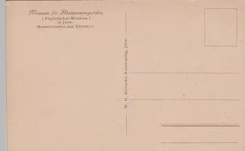 (70555) AK Jena, Museum f. Abstammungslehre, Menschenaffen, vor 1945