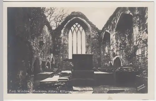 (53260) Foto AK Killarney, Muckross Abbey, East Window, vor 1945