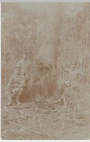 (16350) Foto AK Militaria, Soldaten a. Baum m. Granattreffer, Feldpost 1915