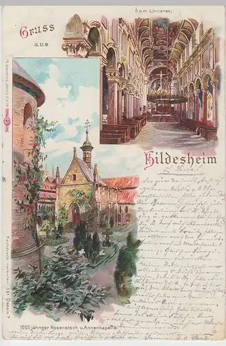 (95896) AK Gruss aus Hildesheim, Dom Inneres, Ahnenkapelle, Litho 1899