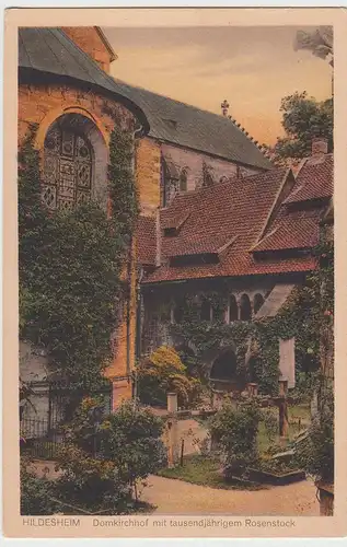 (95891) AK Hildesheim, Domkirchhof, 1914