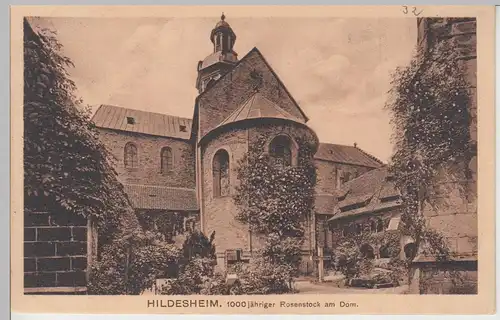 (95041) AK Hildesheim, Dom, Rosenstock, vor 1945