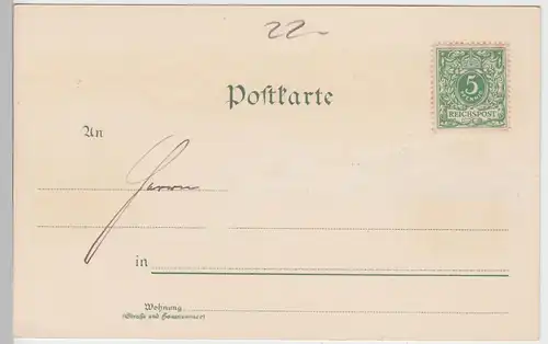 (91367) AK Gruß aus Hildesheim, Dom, Rosenstock, bis 1905