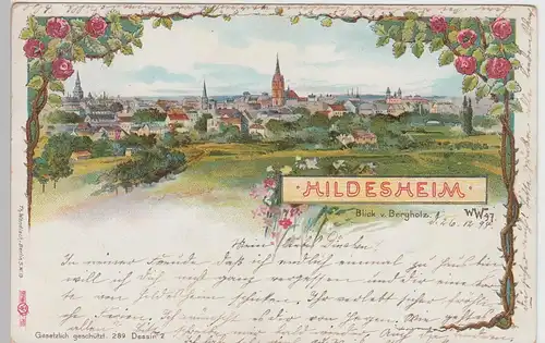 (91365) Künstler AK Hildesheim, Blick vom Bergholz 1898