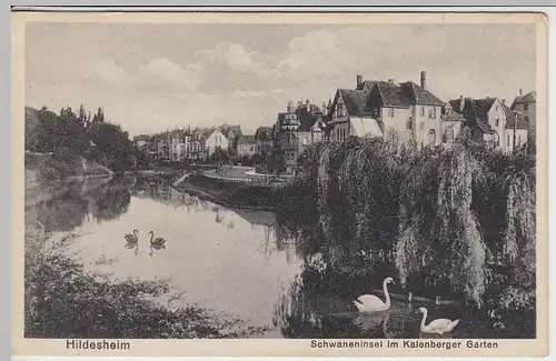 (40808) AK Hildesheim, Schwaneninsel im Kalenberger Garten, 1933