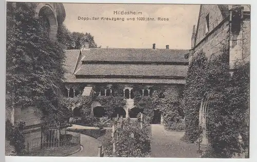 (101109) AK Hildesheim, Dom, Kreuzgang, Rose 1923