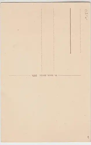 (99072) AK Eltville am Rhein, Burg und Kirche, 1925