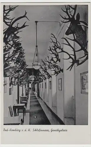 (96002) AK Bad Homburg v. d. Höhe, Schloss, Geweihgalerie, vor 1945