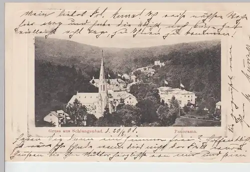 (95642) AK Gruss aus Schlangenbad, Panorama 1901