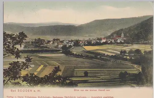 (91465) AK Bad Soden Allendorf, Blick von der kleinen Haardt 1908