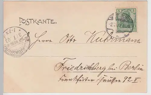 (87861) AK Weilburg, Lahn, Panorama 1903