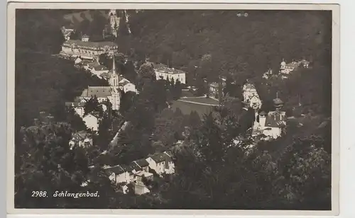 (79824) Foto AK Schlangenbad, Luftbild, 1931