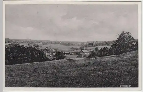 (7043) AK Steinbach, Panorama, Verlag Schwalbach, Taunus., vor 1945
