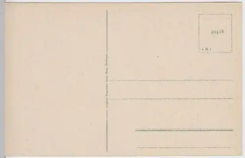 (6511) AK Rüdesheim am Rhein, Panorama, vor 1945