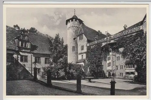 (56614) AK Steinbach bei Michelstadt im Odenwald, Schloss Fürstenau vor 1945