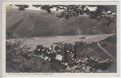 (47498) Foto AK Assmannshausen, Blick vom Weg zum Jagdschloss 1929