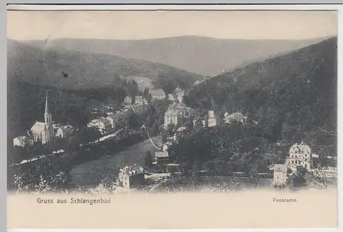 (41908) AK Gruss aus Schlangenbad, Panorama, 1905