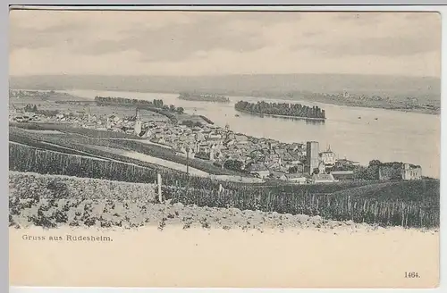 (39327) AK Gruss aus Rüdesheim, Panorama 1904