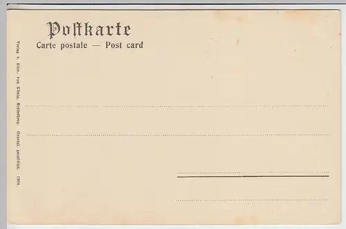 (39327) AK Gruss aus Rüdesheim, Panorama 1904