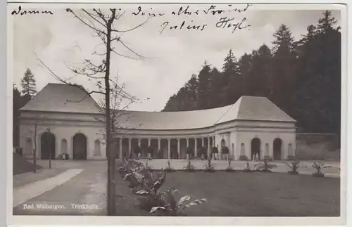 (35134) Foto AK Bad Wildungen, Trinkhalle, 1932