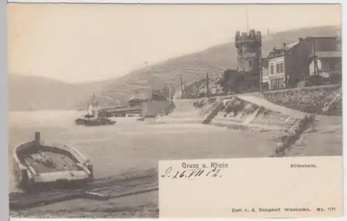 (3119) AK Rüdesheim am Rhein, Gruss vom Rhein 1902