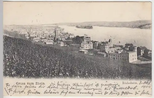 (30852) AK Gruss vom Rhein, Rüdesheim, 1904