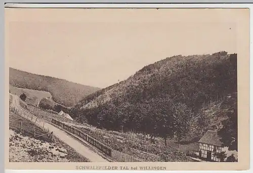 (27986) AK Schwalefelder Tal bei Willingen 1925