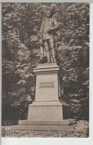 (69741) AK Heidelberg, Schloss, Scheffeldenkmal 1925