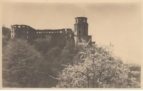 (387) Foto AK Heidelberg, Schloss 1922