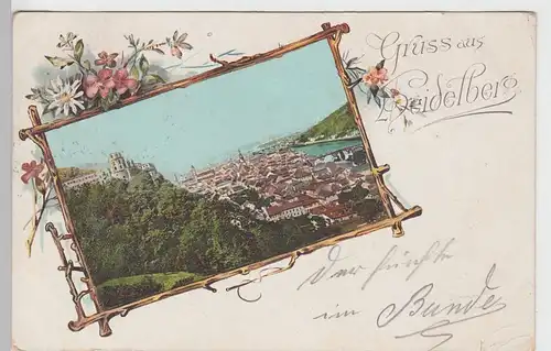 (101458) AK Gruß aus Heidelberg, Panorama 1900