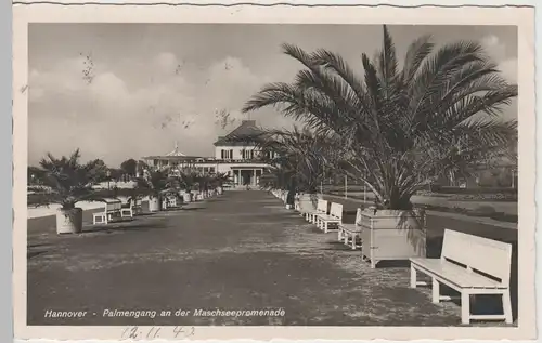 (82775) Foto AK Hannover, Palmengang an der Maschseepromenade, 1940