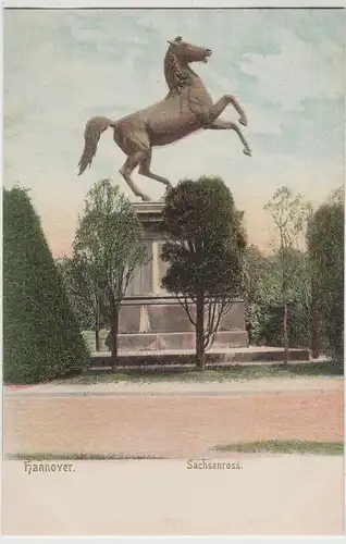 (72838) AK Hannover, Sachsenroß, bis um 1905