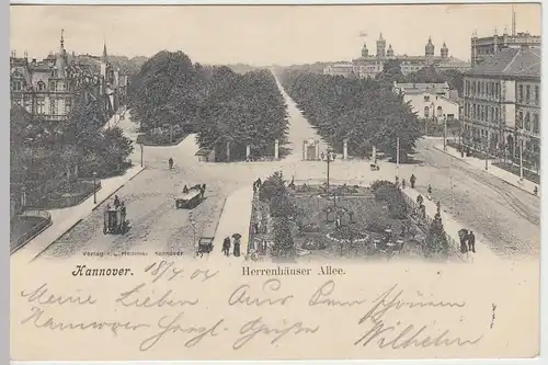 (42635) AK Hannover, Herrenhäuser Allee 1904