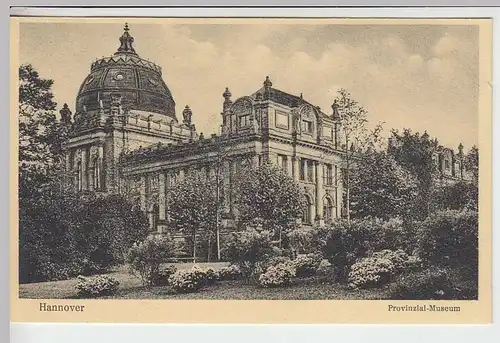 (35193) AK Hannover, Provinzialmuseum, vor 1945