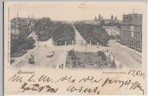 (114788) AK Hannover, Herrenhäuser Allee 1902