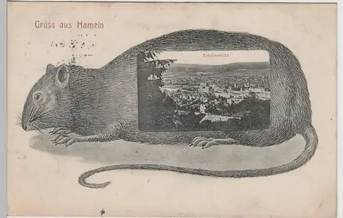 (76594) AK Gruss aus Hameln, Totalansicht mit Ratte, 1913
