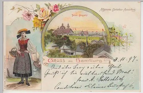 (93566) AK Gruss aus Hamburg, Allgemeine Gartenbau-Ausstellung, Litho 1897