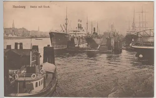 (75877) AK Hamburg, Hafen mit Dock 1913