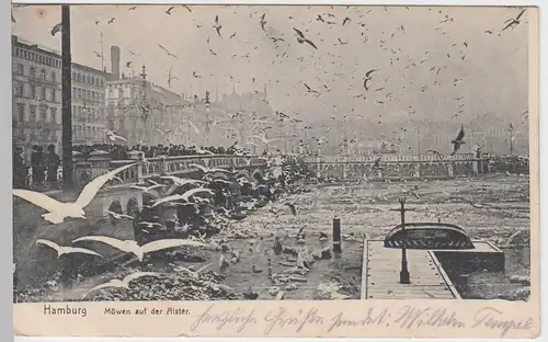 (50340) AK Hamburg, Möwen auf der Alster, 1906