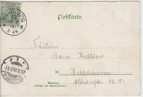 (19315) AK Hamburg, Hafen, Vorsetzen, Litho 1900