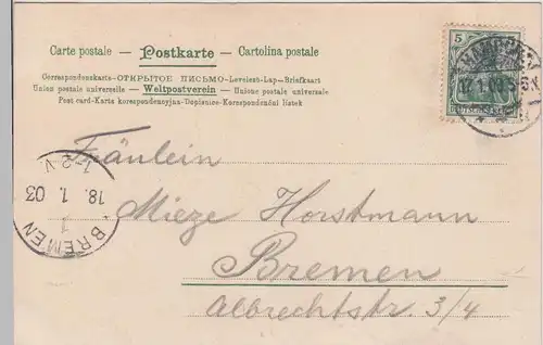 (113263) AK Hamburg, Möwen, Alster 1903