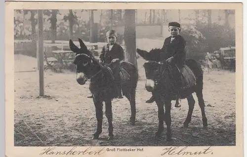 (113147) AK Hamburg, Groß Flottbeker Hof, Jungs reiten auf Eseln, vor 1945
