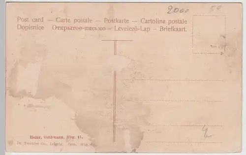 (111917) AK Hamburg, Eingang zum Botanischen Garten m. Post, 1905