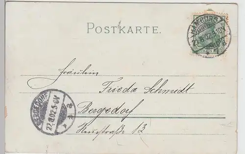 (109936) Künstler AK Gruß aus Hamburg, Rathaus 1902