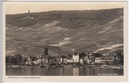 (24364) Foto AK Rüdesheim am Rhein, Panorama, vor 1945