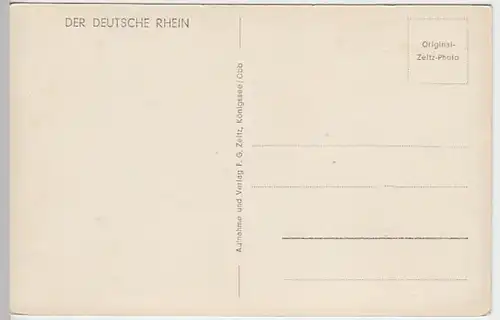 (24364) Foto AK Rüdesheim am Rhein, Panorama, vor 1945