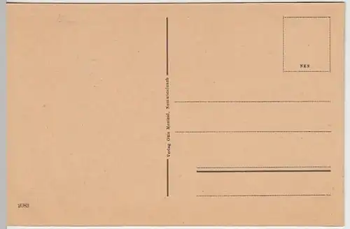 (18858) AK Neckarsteinach, Ortsansicht, Vorder- u. Mittelburg, vor 1945